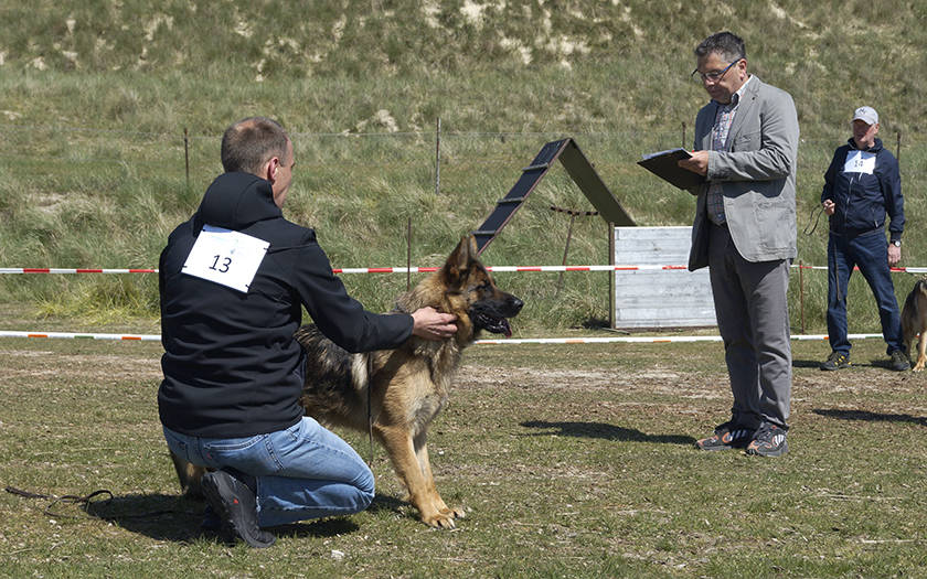 Hundezüchter trafen sich Himmelfahrt auf Norderney