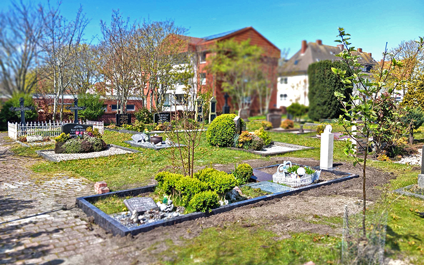 Kaninchendraht auf dem Friedhof