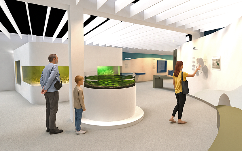 Verwandlung mit Konzept