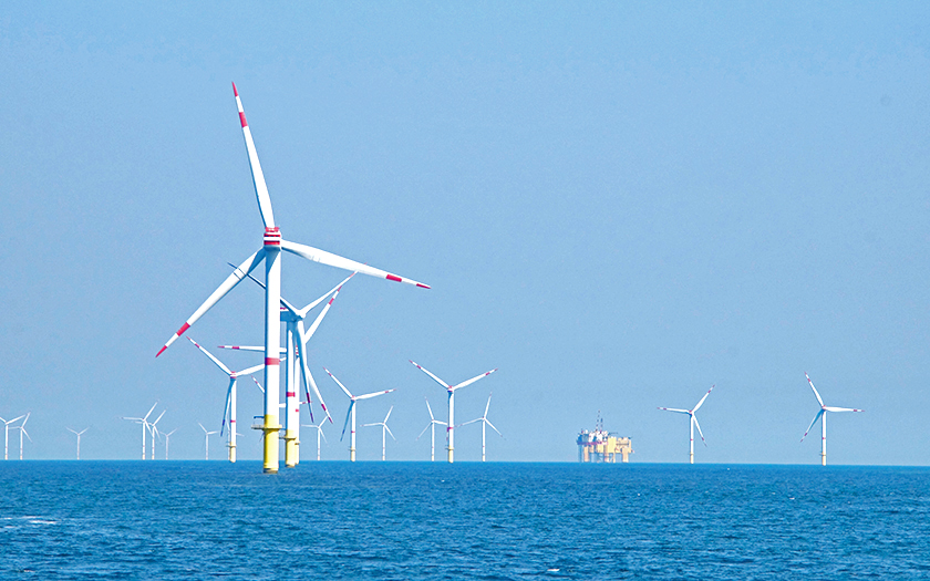 Offshore-Windparks mit Auswirkungen: SDN warnt vor weiterer Industrialisierung der Nordsee