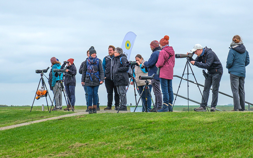 Norderney gewinnt Aviathlon mit Allzeitrekord